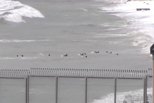 Hơn 50 trẻ em bơi vượt biên từ Morocco đến Tây Ban Nha