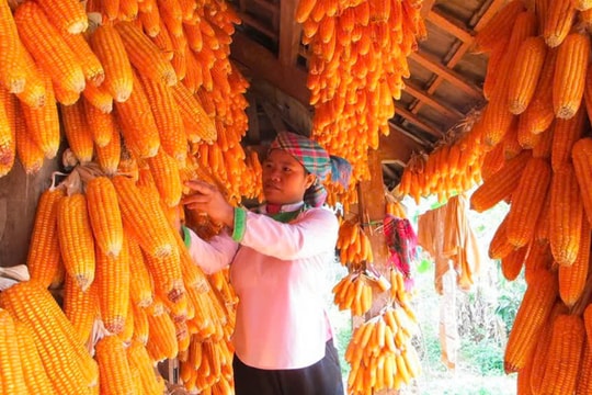 Lai Châu: Đẩy mạnh giảm nghèo, hướng tới sự phát triển bền vững