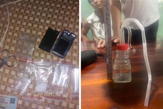 Triệt phá ổ nhóm ma túy hoạt động tinh vi, ẩn sâu trong rừng