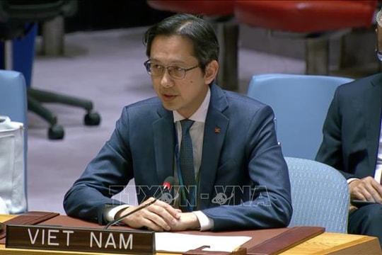 Việt Nam cam kết ủng hộ và đóng góp cho tiến trình thực thi giải pháp hai nhà nước