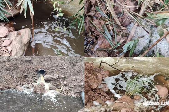 Bắc Ninh: Công ty Cổ phần Machino Thành Đạt có khắc phục triệt để vi phạm?