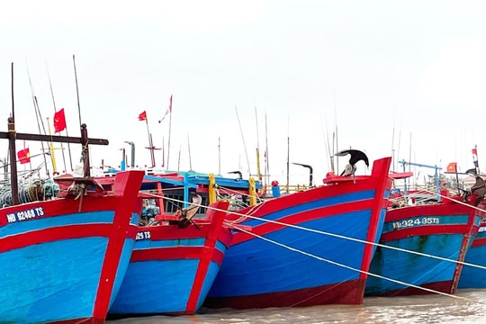 Ninh Bình: Thành lập Ban chỉ đạo chống khai thác thuỷ sản bất hợp pháp