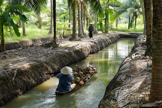 Chiếu miễn phí 14 bộ phim nhân kỷ niệm 80 năm Cách mạng Tháng Tám