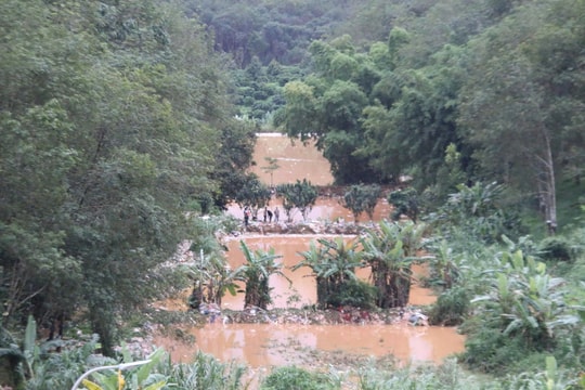 Quảng Ngãi: Vỡ bờ bao, rác thải tràn vào ao cá, vườn người dân