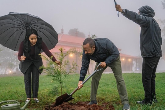15 triệu người Ethiopia cùng xuống đường trồng 700 triệu cây để chống biến đổi khí hậu
