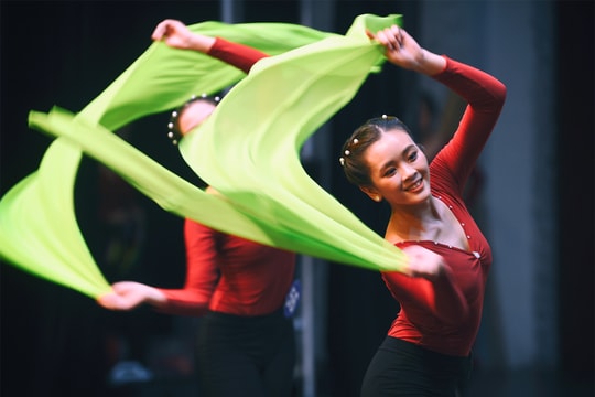 Không thể 'trói tay' nghệ sĩ bằng chứng chỉ sư phạm