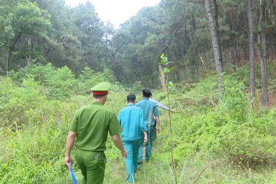 Chủ động phòng chống cháy rừng mùa nắng nóng