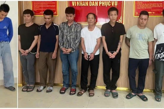 Nghệ An: Triệt phá ổ nhóm trộm và tiêu thụ hơn 2 tấn chó