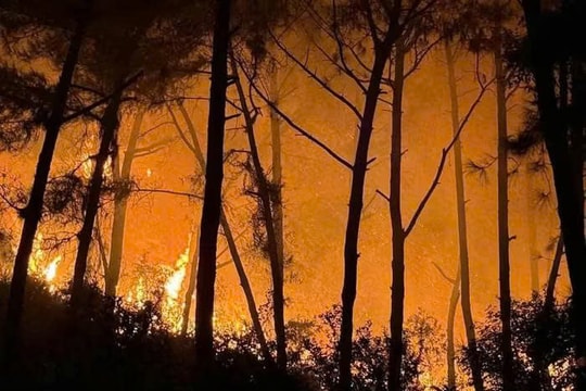 Nghệ An: Nhanh chóng dập tắt đám cháy rừng tại xã Tân Châu