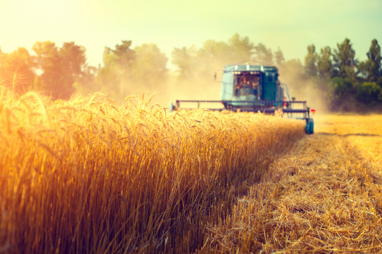 Nông dân Mỹ đối mặt thời kỳ tồi tệ nhất trong nhiều thập kỷ