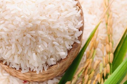 Giá lúa gạo hôm nay 5/8: OM 5451 sụt mạnh, IR 504 tăng giá nhẹ; Giá gạo Việt Nam tiếp tục dẫn đầu toàn cầu