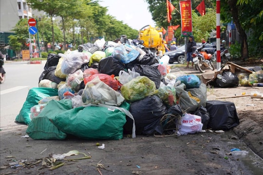 Bộ Nông nghiệp và Môi trường đề xuất tăng phạt hành vi xả rác