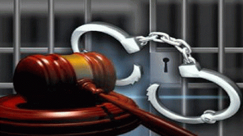 Giám đốc một doanh nghiệp nước ngoài bị khởi tố tội trốn thuế