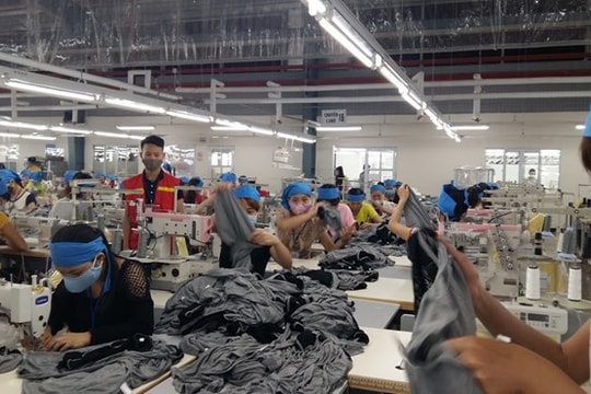 Tạo việc làm – Chìa khóa giảm nghèo bền vững ở Thanh Hóa