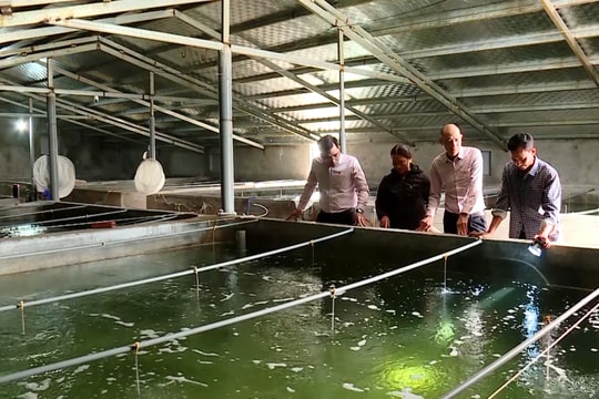 Ninh Bình: Hiệu quả từ cách nghĩ, cách làm trong giảm nghèo