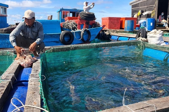 Bãi bỏ hoàn toàn nhiều thủ tục hành chính về nông nghiệp và môi trường
