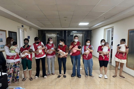 Triệt phá đường dây mang thai hộ xuyên quốc gia, giải cứu thành công 11 cháu bé