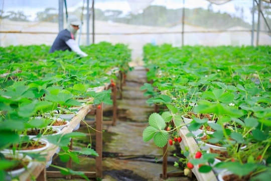 30 năm hội nhập ASEAN: Vị thế mới của Việt Nam