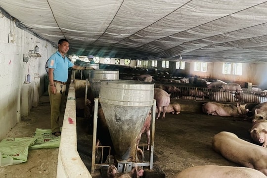 Xã Đoài Phương tiếp tục nâng cao các tiêu chí nông thôn mới