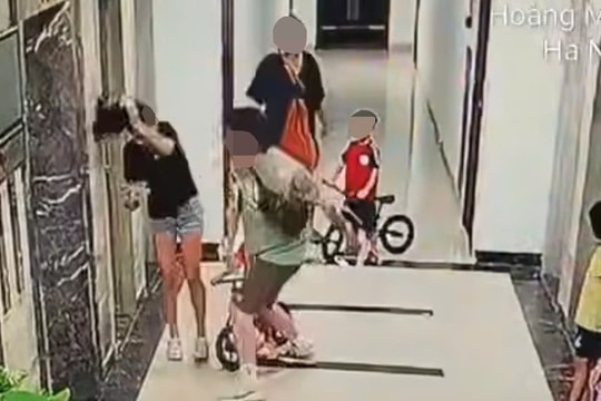 Điều tra vụ người đàn ông xăm trổ hành hung cô gái trước mặt trẻ nhỏ ở chung cư