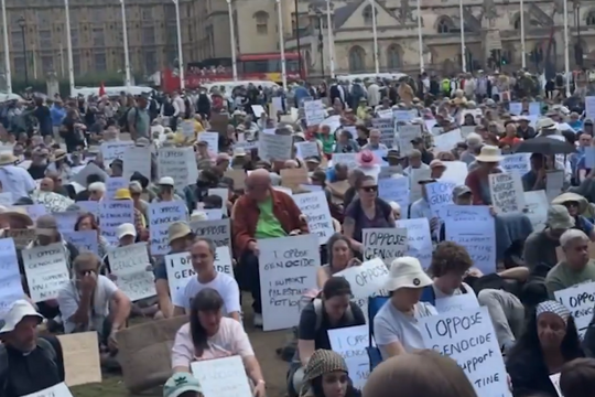 Cảnh sát Anh bắt hơn 466 người biểu tình ủng hộ Palestine