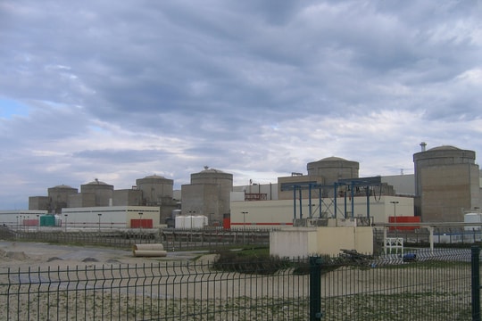 Nhà máy điện hạt nhân Pháp ngừng hoạt động vì đàn sứa khổng lồ