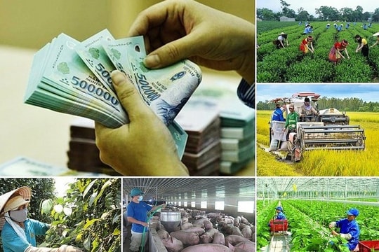 Không làm gián đoạn các chương trình mục tiêu quốc gia khi thực hiện chính quyền địa phương 2 cấp