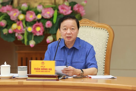 Xem xét kỹ việc quy hoạch dân cư, bố trí cơ sở hạ tầng y tế, trường học tại vùng dễ bị thiên tai