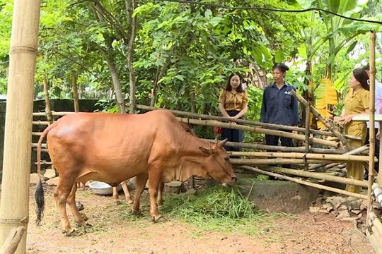 Thanh Hoá, Tạo ra sinh kế bền vững, điểm tựa nâng chất lượng cuộc sống cho người dân