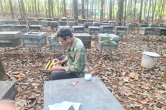 Ninh Bình: Nhiều kết quả ấn tượng trong thực hiện giảm nghèo vùng đồng bào dân tộc thiểu số