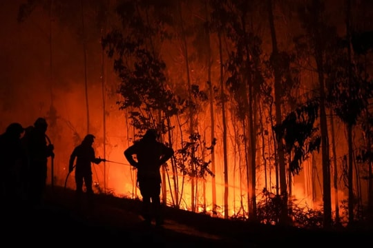 Châu Âu đối phó cháy rừng dữ dội giữa nắng nóng kỷ lục