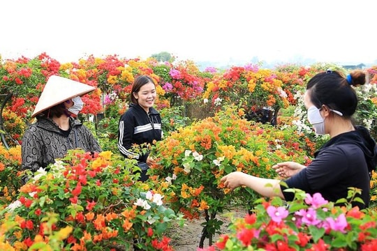 Phù Đổng - điểm sáng trong chương trình xây dựng nông thôn mới