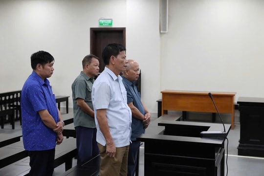 Loạt cựu cán bộ xã Minh Trí lĩnh án tù vì chuyển nhượng đất không đúng quy định