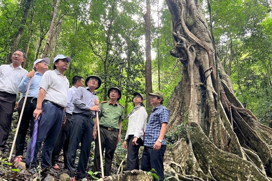 Gia Lai: Xây dựng chiến lược phát triển “núi vàng” du lịch Kon Ka Kinh