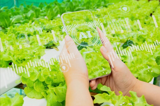 Nông dân Việt Nam được hỗ trợ ứng dụng AI vào sản xuất, thích ứng biến đổi khí hậu