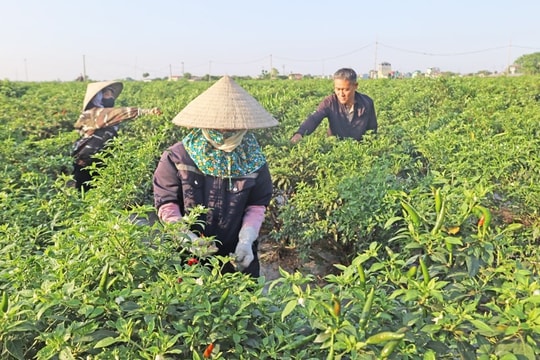 Xã Phúc Sơn hướng tới mục tiêu nông thôn mới nâng cao giai đoạn 2025-2030