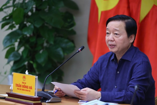 Bổ sung chế tài mạnh, kể cả xử lý hình sự với hành vi cố tình phát tán dịch bệnh