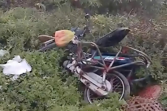 Băng qua đường sắt ở Nghệ An, người phụ nữ bị tàu hỏa tông tử vong