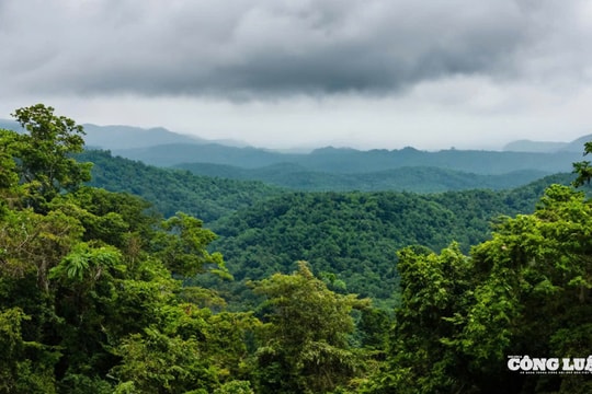 Ninh Bình: Tìm kiếm nam du khách đi lạc khi tham quan tại Vườn quốc gia Cúc Phương