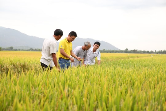 PVCFC: Thương hiệu gắn kết và đồng hành cùng người lao động