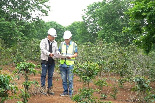 Chính phủ bổ sung quy định về bồi thường cây trồng, vật nuôi khi Nhà nước thu hồi đất