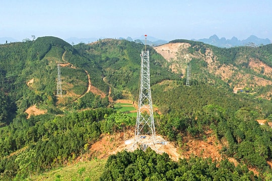 Quy định mới về tạm sử dụng rừng để thi công các dự án cấp thiết