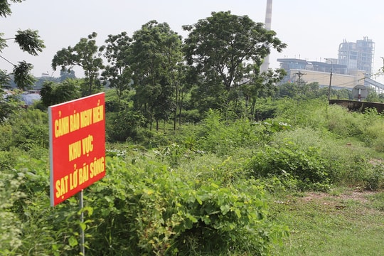 Bắc Ninh: Xử lý khẩn cấp khắc phục các sự cố về đê điều