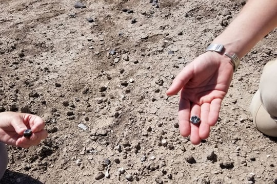 Hóa thạch hé lộ một loài người cổ đại chưa từng được biết tới trước đây