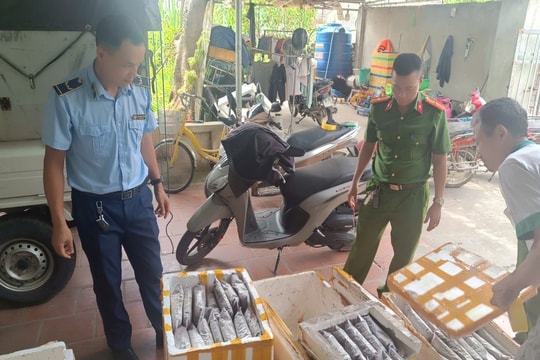 Thanh Hóa: Phát hiện cơ sở kinh doanh hơn 1 tấn thực phẩm bốc mùi