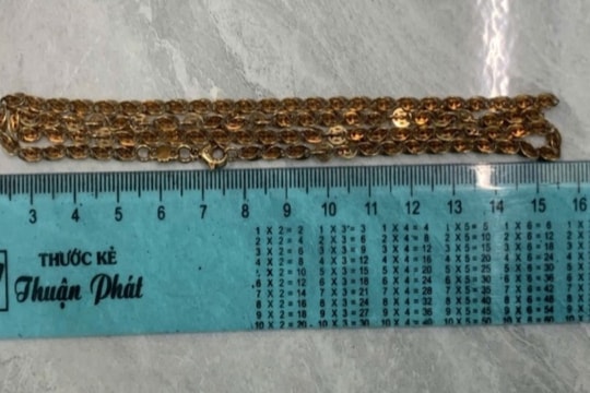 Truy bắt nhanh 2 đối tượng cướp giật 'táo tợn' tại An Giang