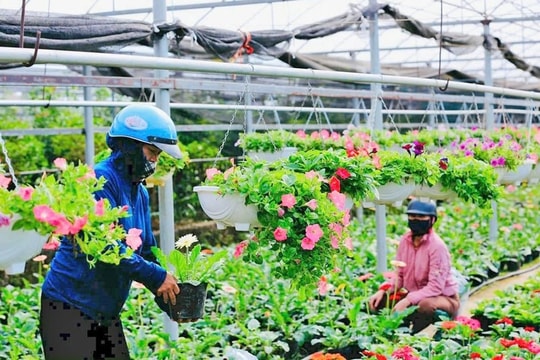 Tổ chức Cuộc thi viết về gương điển hình tiên tiến xây dựng nông thôn mới