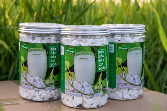 Hành trình xây dựng thương hiệu OCOP 4 sao ‘Bột sắn dây xứ Đoài’