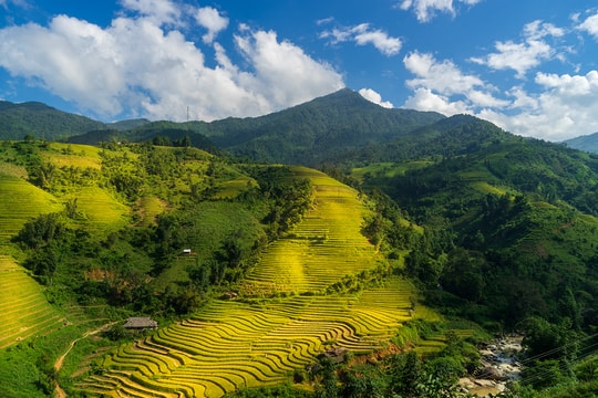 Mở đợt sáng tác ảnh nghệ thuật "Mùa vàng Lào Cai 2025"