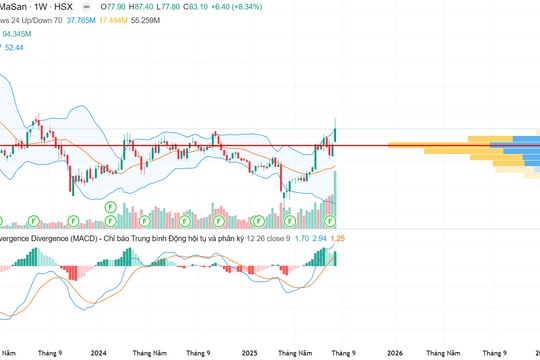 Chiến lược tăng trưởng có lợi nhuận: Bước đi dài hạn của Masan